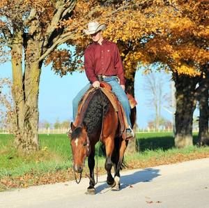 Meet your Posher, Nathan